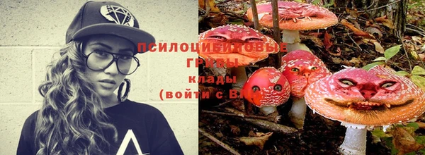 jwh Верея