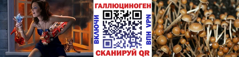 МЕГА рабочий сайт  Северобайкальск  Псилоцибиновые грибы Psilocybe 