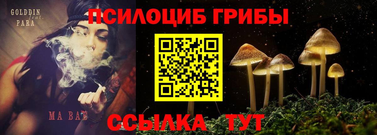 Псилоцибиновые грибы Psilocybine cubensis  Галлюциногенные грибы ЛСД  Вход с VPN  Северобайкальск 