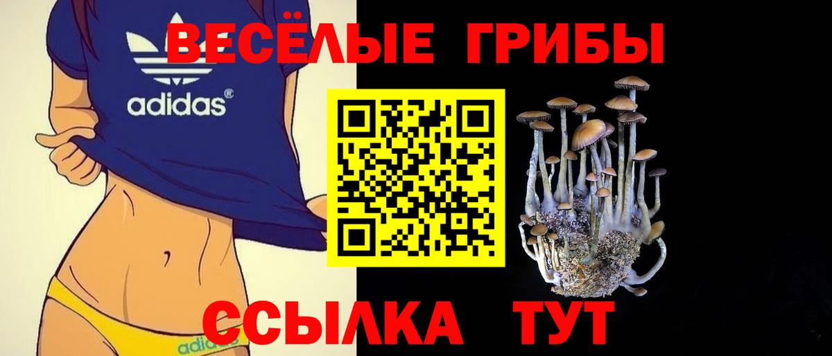 Бошки Шишки  ЭКСТАЗИ  А ПВП СОЛЬ кристаллы  Кокаин  Северобайкальск  Codein  ГАШИШ  Вход с VPN  МЕФ кристаллы 